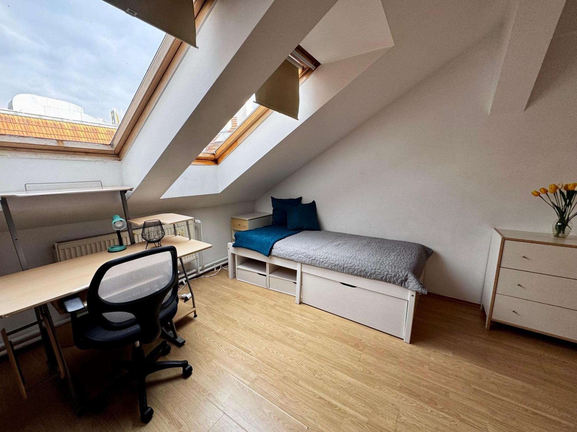 ברטיסלאבה 120 M2 Apartment In The Centre Of The Old Town מראה חיצוני תמונה